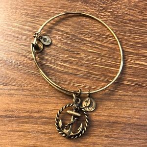 Alex and Ani charm bracelet